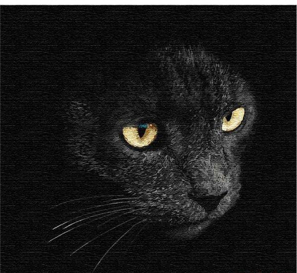 Картина по номерам Идейка Вид хищника Sergey Polyushko КНО4204 холст на подрамнике 40х40 см (1499527145)