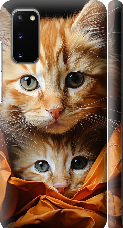 Чехол на Samsung Galaxy S20 Котики 2 (5664m-1824-42517)