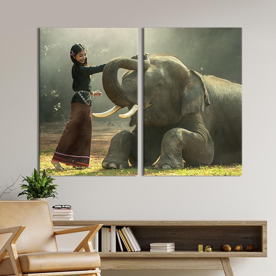 Модульная картина на холсте Диптих Счастливые девушка с слоном 71x51 см (162-2)