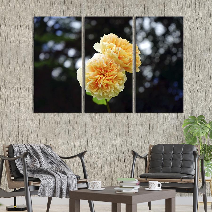 Картина на холсте триптих Восхитительные кремовые хризантемы 156x100 см (937-31)