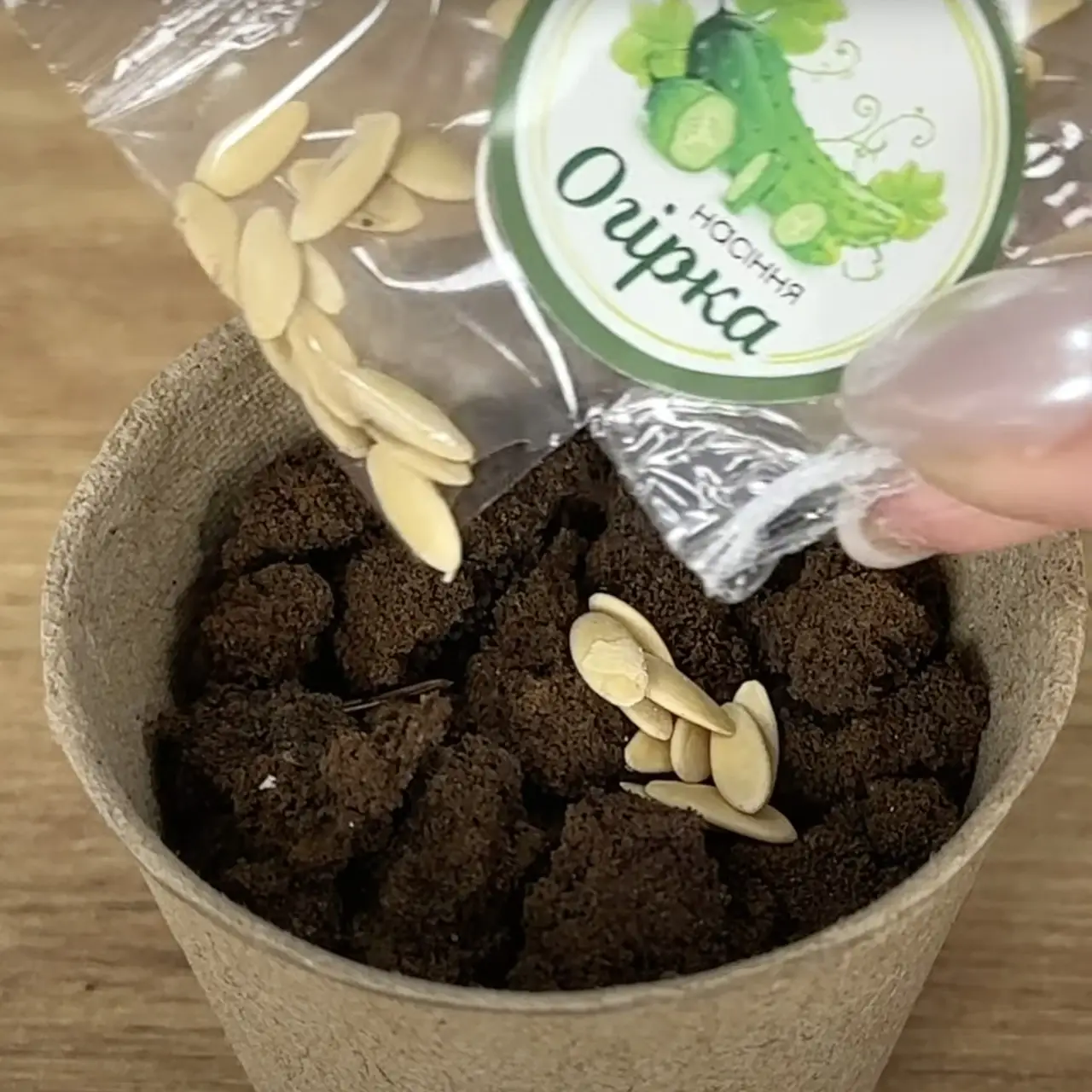 Ігровий набір Fun Game 78522 Ботанічні експерименти підставка/ґрунт/насіння/інструменти (2763976796) - фото 4 Ігровий набір Fun Game 78522 Ботанічні експерименти підставка/ґрунт/насіння/інструменти (2763976796) - фото 4