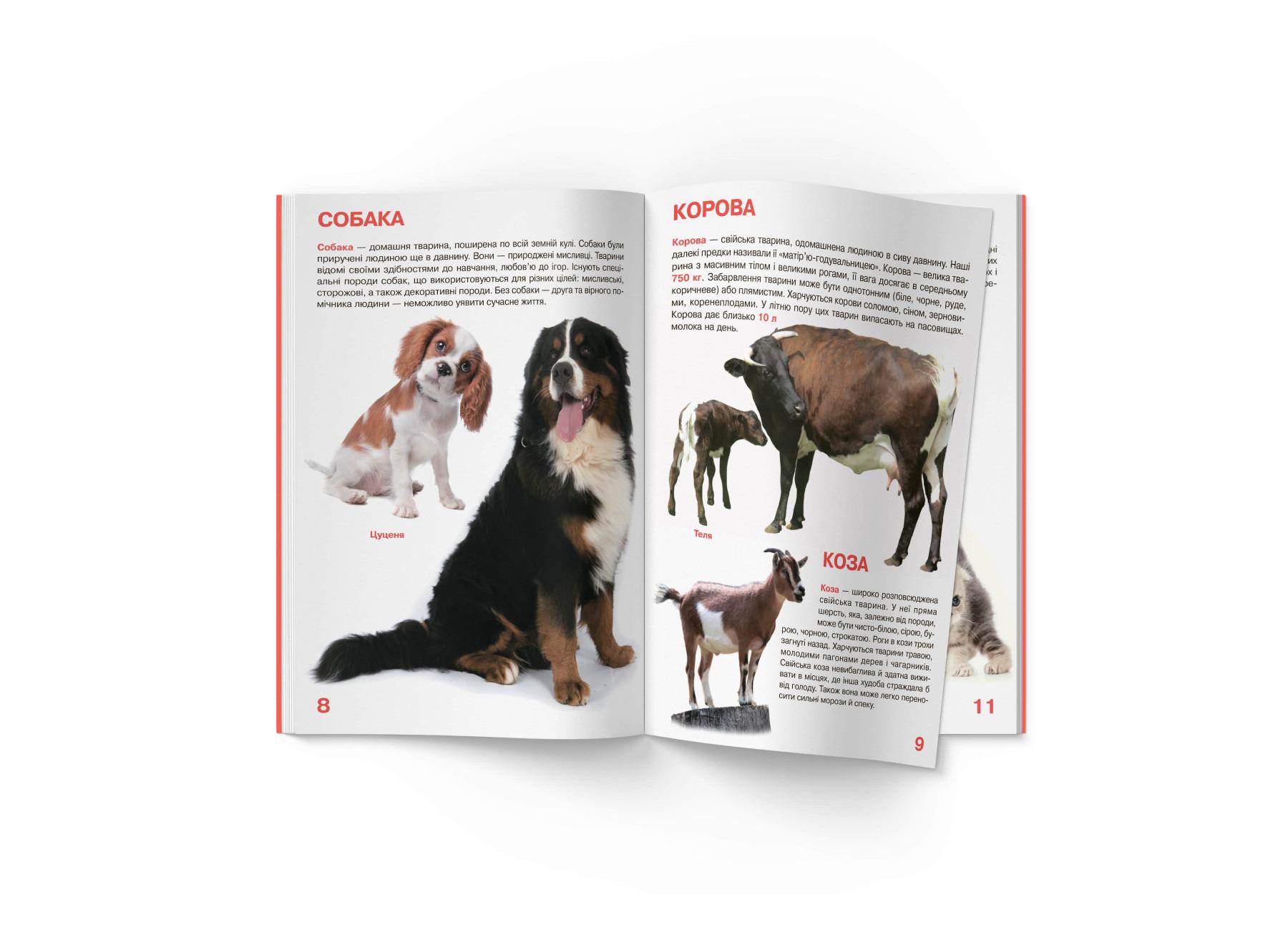 Книга "Велика книжка. Свійські тварини" (F00013734) - фото 3