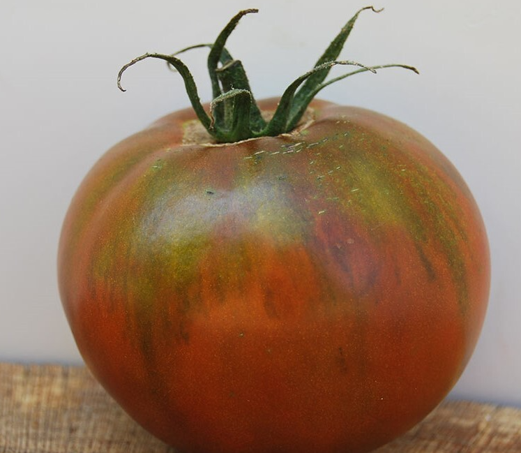 Насіння Томат Чорний принц 0,1 г 30 шт. середньоранній високорослий (RS-00831) - фото 3