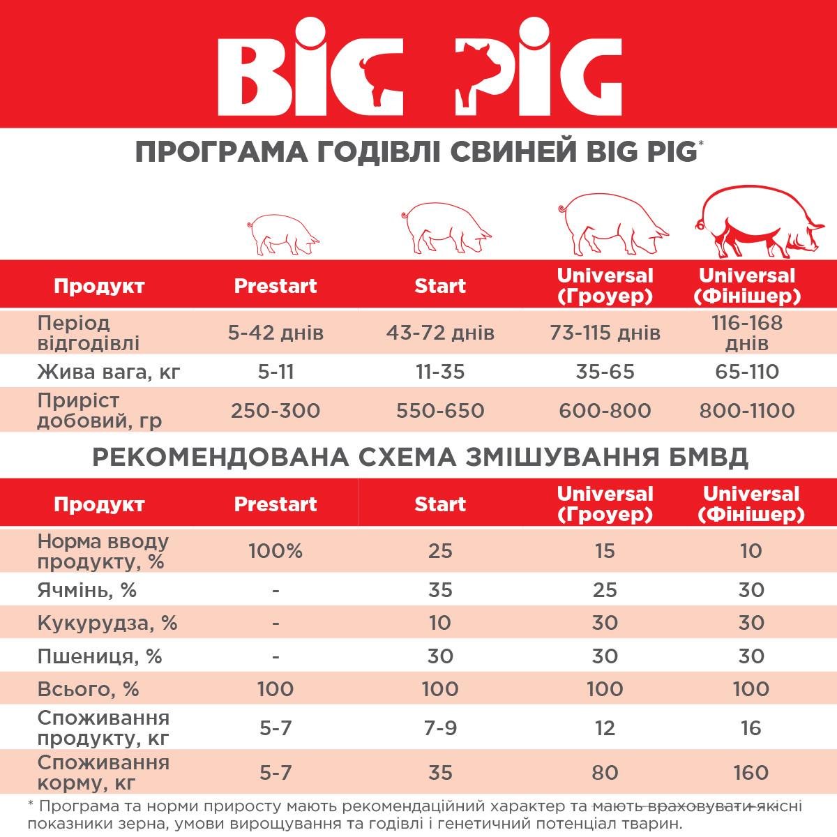 Комбікорм БМВС для поросят з 11 до 35 кг Agroprogres BIG PIG Start 25% 25 кг (1743100099) - фото 2