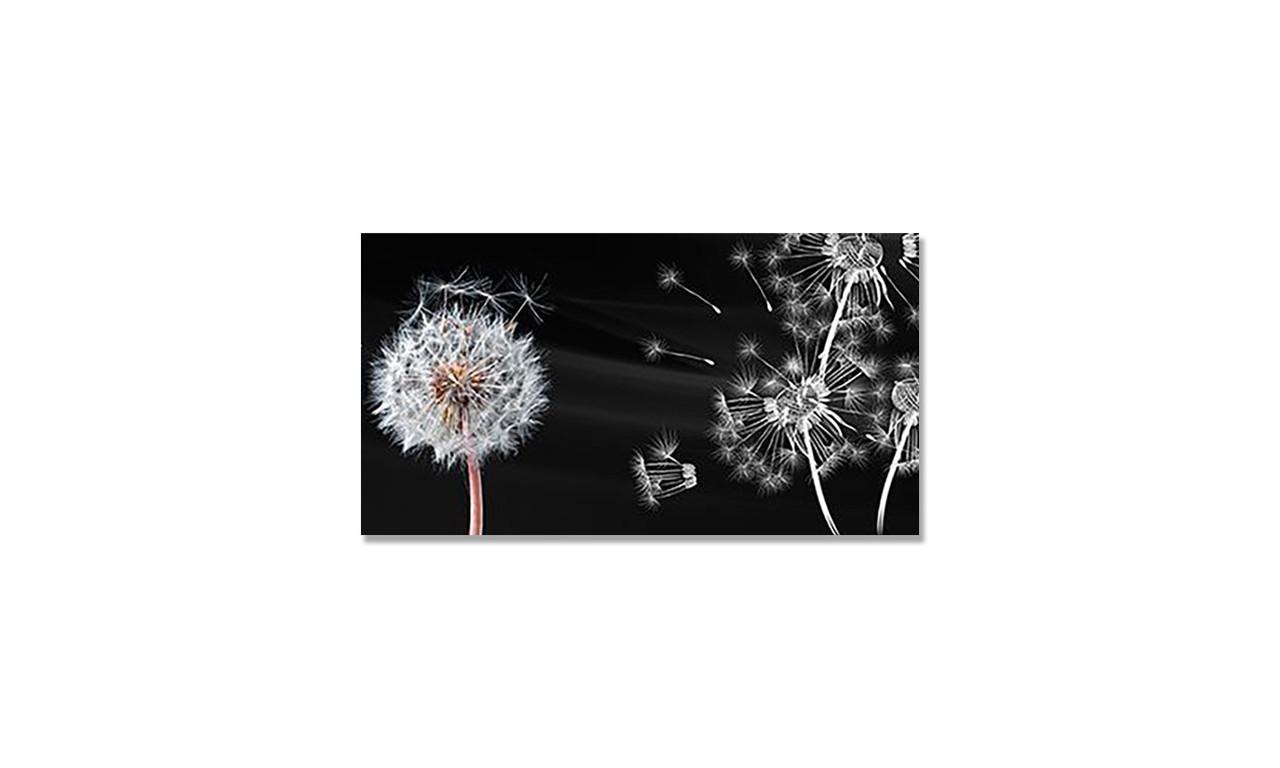 Наклейка виниловая на стол Zatarga Пушистый Одуванчик 650х1200 мм (1271805726)