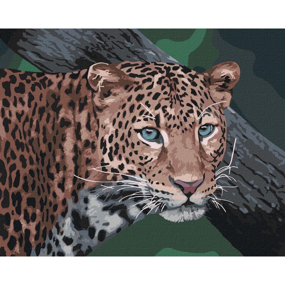 Картина по номерам Ідейка Дикий взгляд 40x50 см (KHO4300)