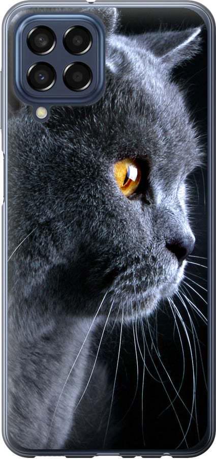 Чехол на Samsung Galaxy M33 M336B Красивый кот (3038b-2633-42517)