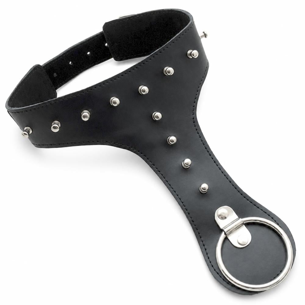 Ошейник с кольцом Premium Story of O Collar Studded (1000013866)