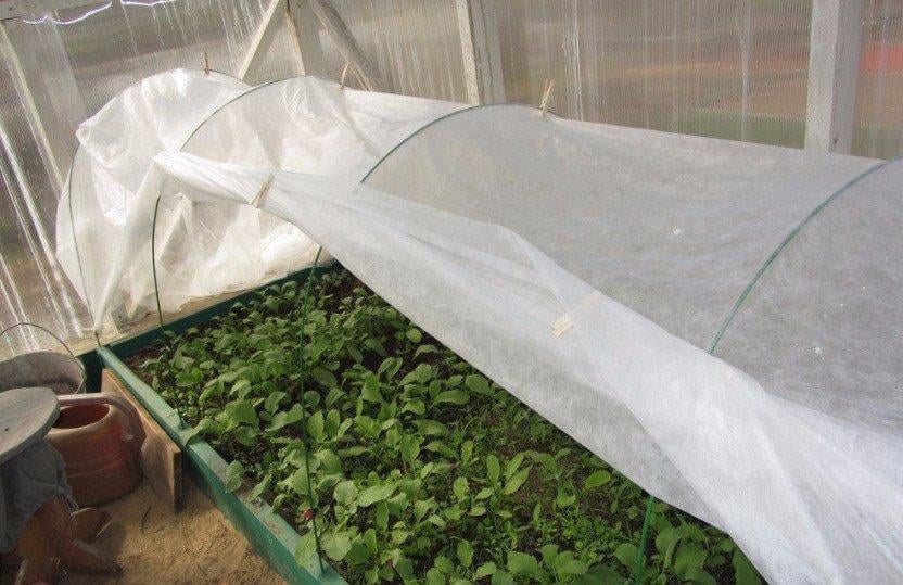 Агроволокно прошитое Shadow для парника/теплицы сменный белый спандонд 12 м 60 г/м² - фото 5