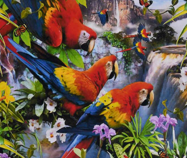 Картина за номерами TK Group 3040 30 Папуги 40х30 см (110363)