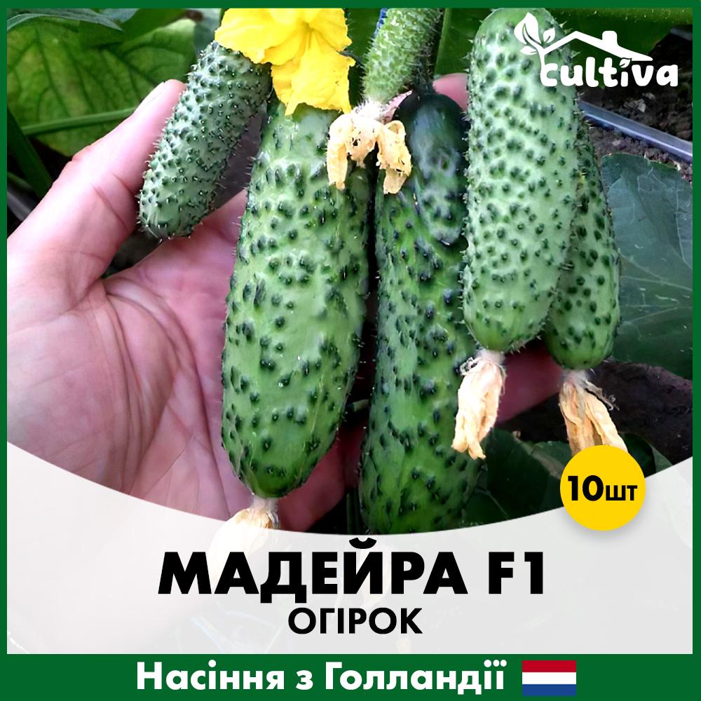 Семена огурца Seminis Мадейра F1 10 шт. (R51153)
