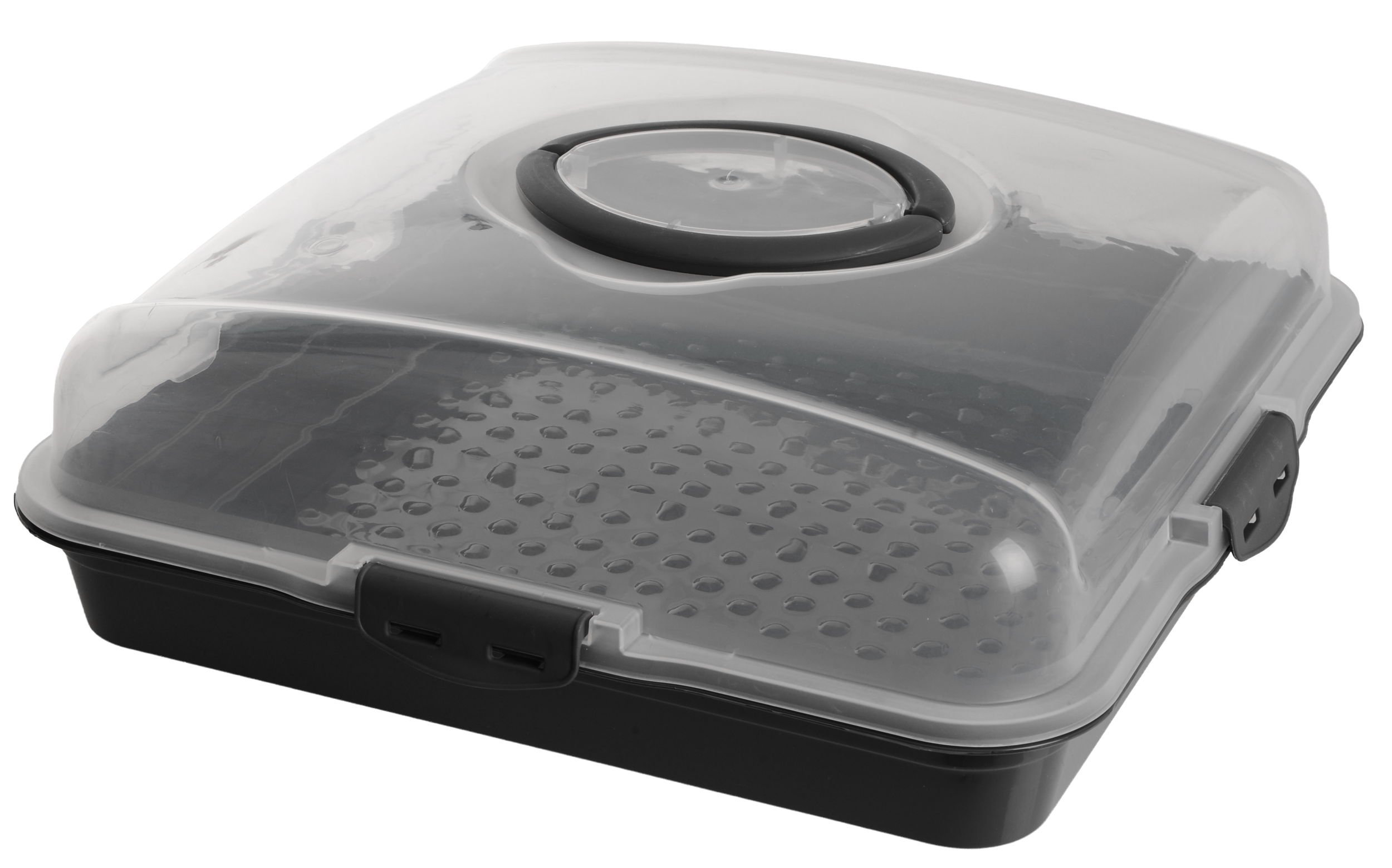 Тортовница Violet House 0036 Каризма полипропиленовая с крышкой 13х38 см (31111669)