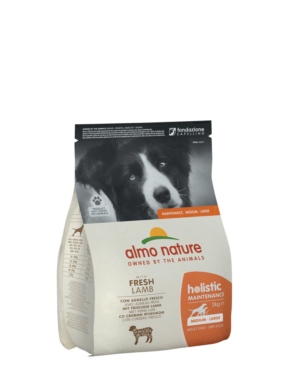Корм сухий для собак середніх і великих порід Almo Nature Holistic Dog M-L з ягням 2 кг (731/8001154122077)