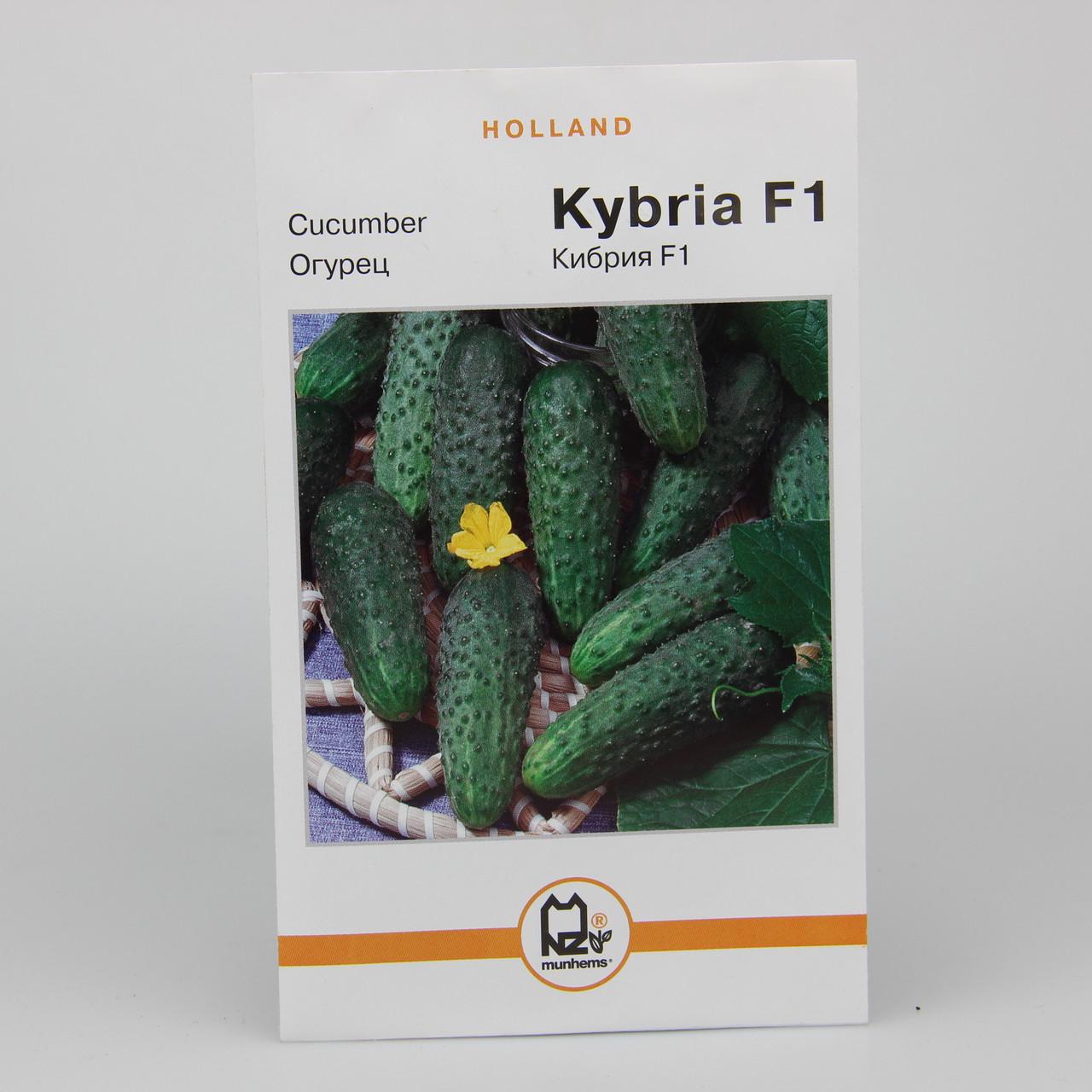 Семена огурца Кибрия F1 Holland 3 г (23103)