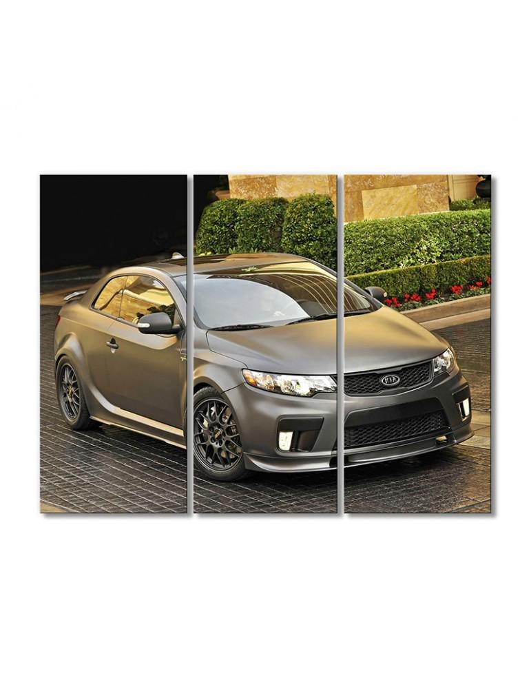 Картина модульная Платинова К.И.А 3 модуля 50x75 см