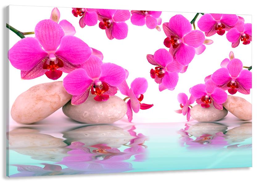 Картина на холсте в гостиную/спальню Орхидея 40х80 см (MLP_120)