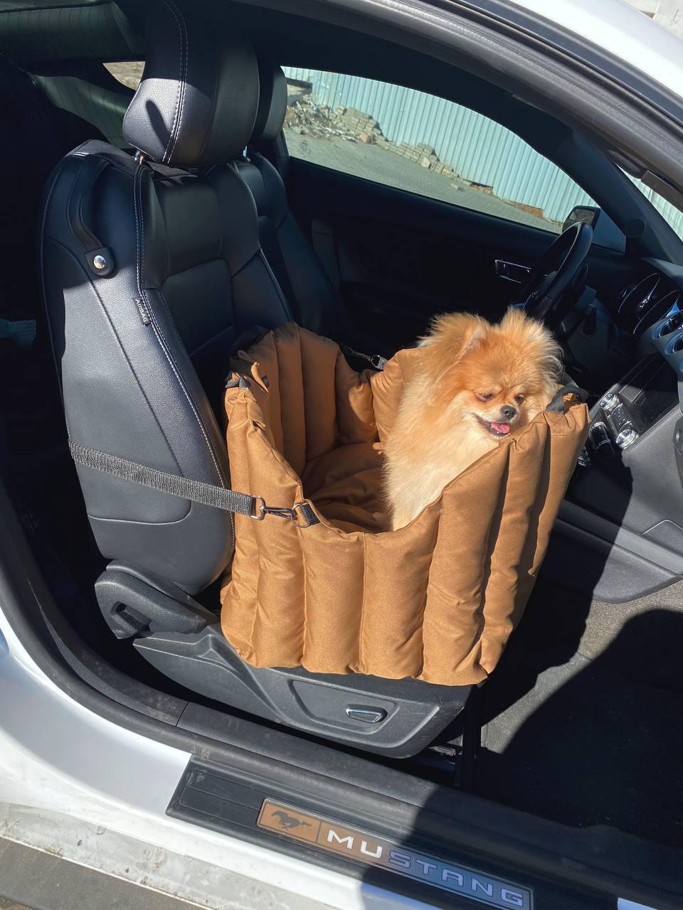 Сумка-переноска для домашних животных Incor 60х40х37 см Коричневый (604037-1) - фото 17 Сумка-переноска для домашних животных Incor 60х40х37 см Коричневый (604037-1) - фото 17