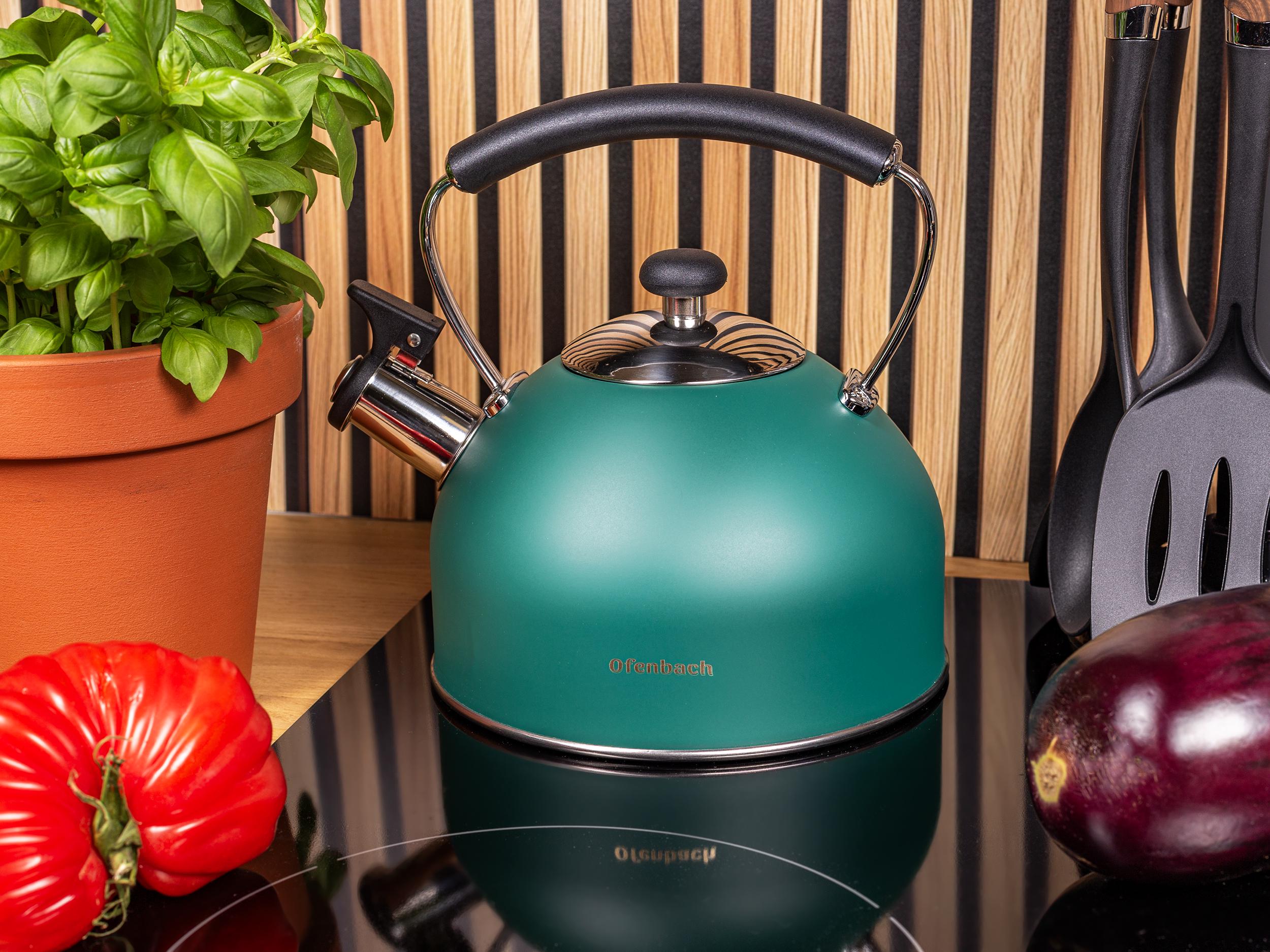 Чайник зі свистком та нейлоновою ручкою Ofenbach KM-100326 з нержавіючої сталі 2,2 л Зелений (150-84-100326) - фото 8 Чайник зі свистком та нейлоновою ручкою Ofenbach KM-100326 з нержавіючої сталі 2,2 л Зелений (150-84-100326) - фото 8
