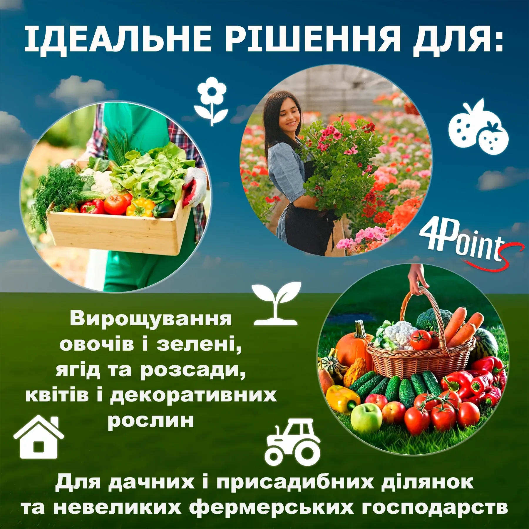 Теплиця садова 4Points парник для городу дому дачі з вікнами 18м2 3х6 м Зелений - фото 8