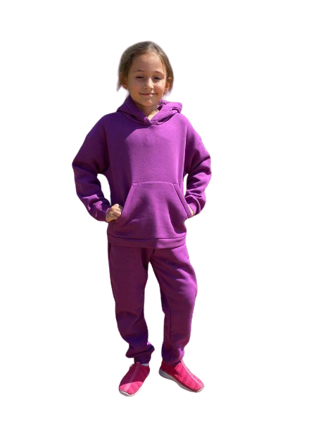 Спортивний костюм Три Феї тринитка з начосом р. 128 Фіолетовий (3/128)
