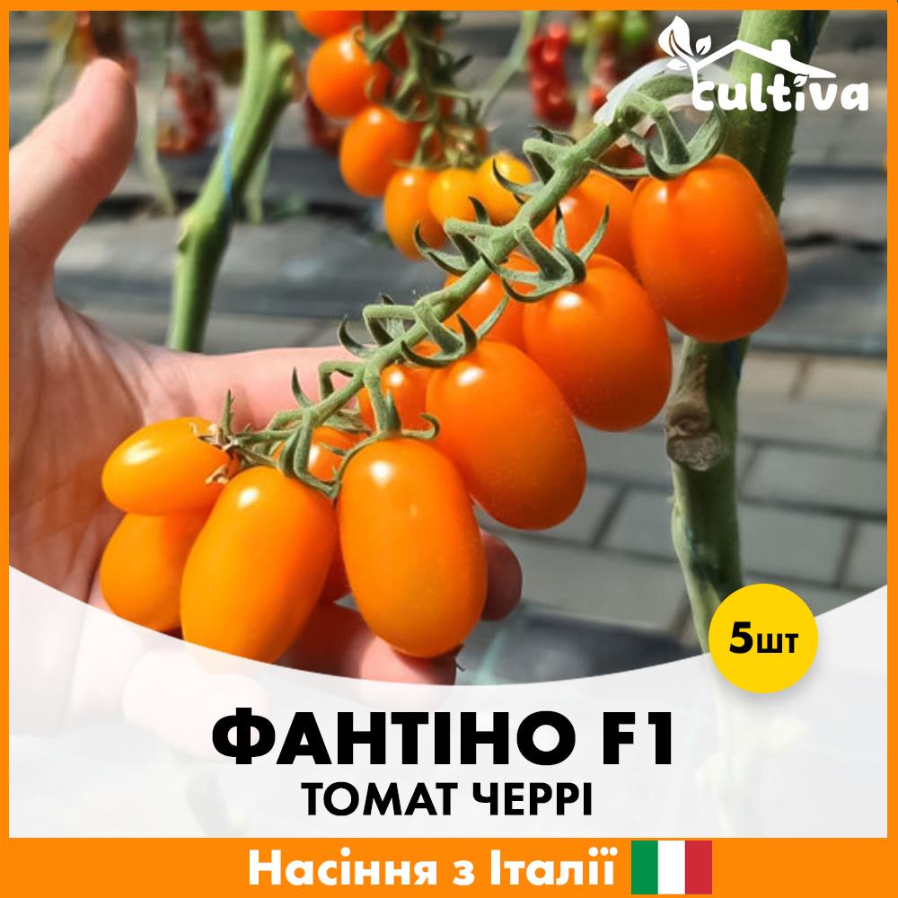 Семена томата Esasem Черри Фантино F1 5 шт. (R51057)