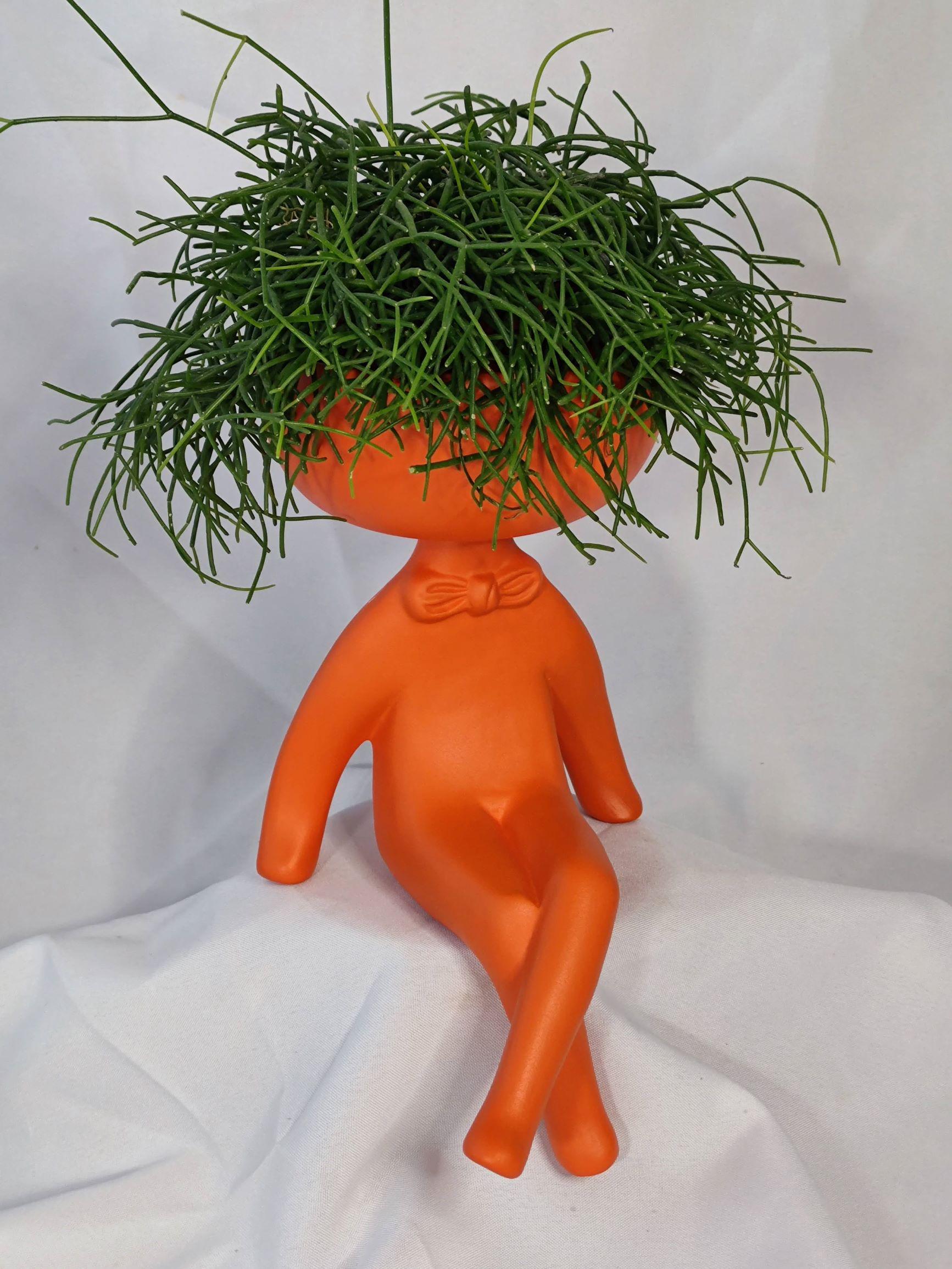 Кашпо-вазон KeramaTato Франт порошкове покриття з мохом 27х15 см 0,7 л Апельсин Помаранчевий (ФМАп27/15/0,7) - фото 5 Кашпо-вазон KeramaTato Франт порошкове покриття з мохом 27х15 см 0,7 л Апельсин Помаранчевий (ФМАп27/15/0,7) - фото 5