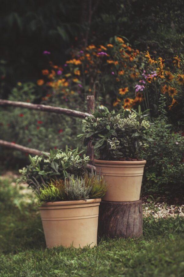 Вазон глиняний TeraPlast MARTE TERRA VIVA 28 см (A-014715) - фото 4