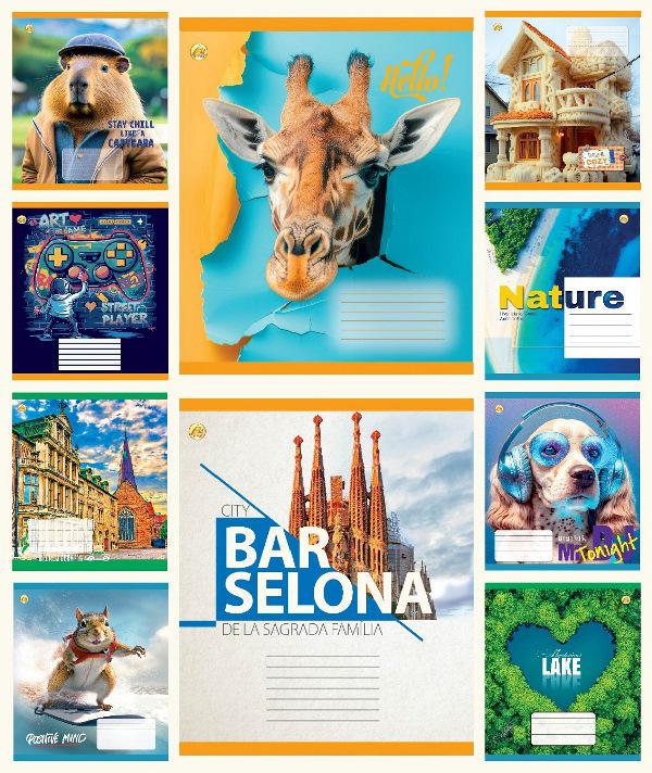 Зошити учнівські Тетрада Мікс 3 24 аркуша клітинка 20 шт. в упаковці