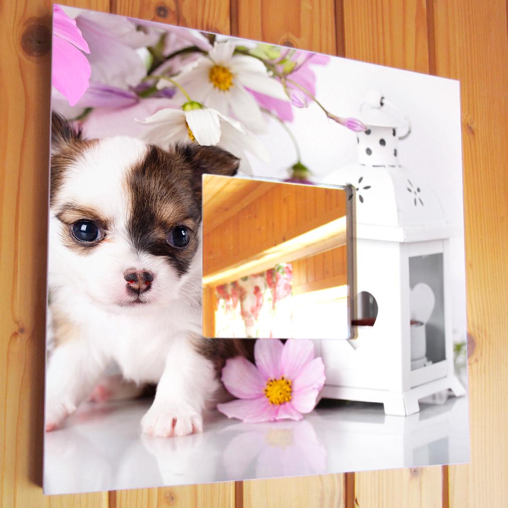Зеркало декоративное Чихуахуа в цветах 260х260 мм (M03741)