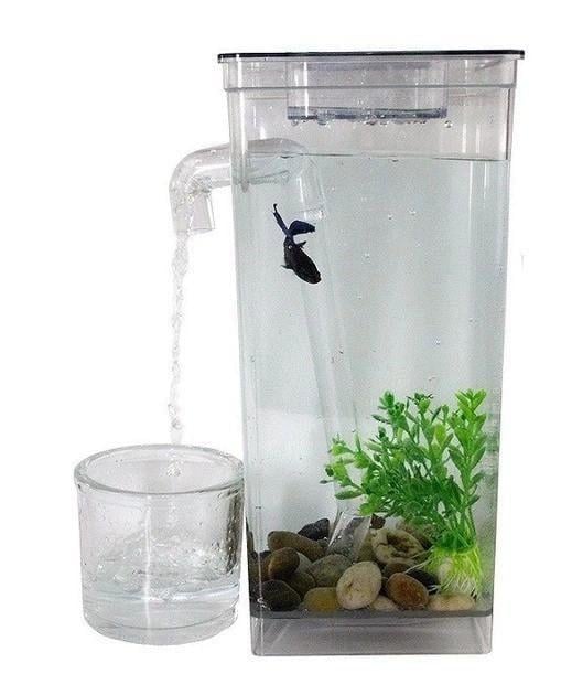 Аквариум самоочищающийся My Fun Fish 25х11 см 2 л