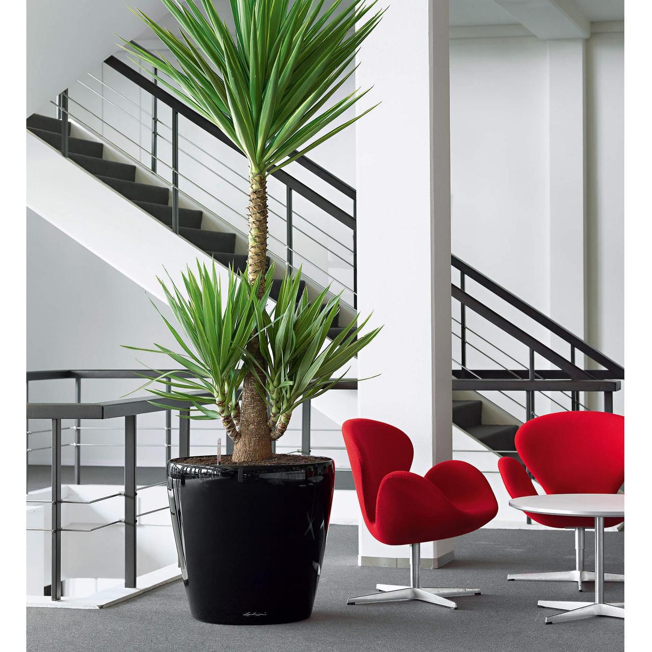 Вазон Lechuz Classico Premium LS 60 см Білий (A-013828) - фото 8 Вазон Lechuz Classico Premium LS 60 см Білий (A-013828) - фото 8