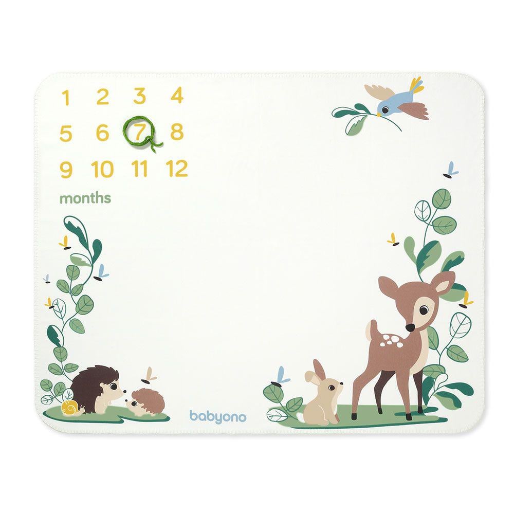 Плед-фотопелюшка по месяцам для малышей (29437057) Плед-фотопелюшка по месяцам для малышей (29437057)