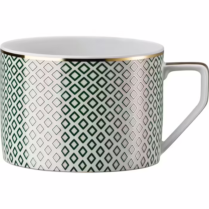 Чашка для чая Rosenthal Francis Carreau Vert 230 мл (2667653)