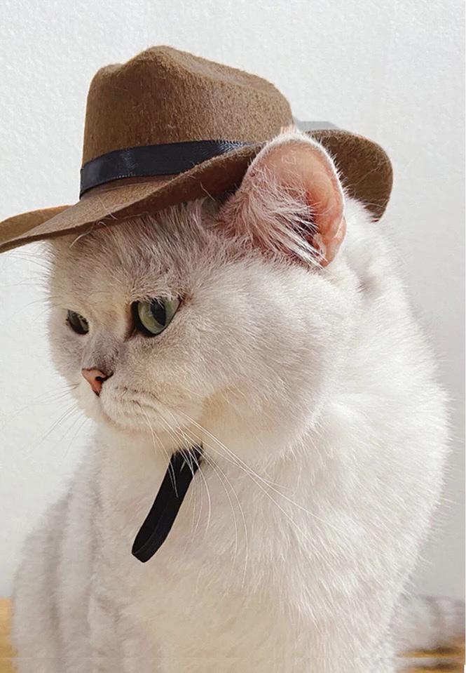 Капелюх для домашніх тварин Сopacabana S-M Brown - фото 7 Капелюх для домашніх тварин Сopacabana S-M Brown - фото 7