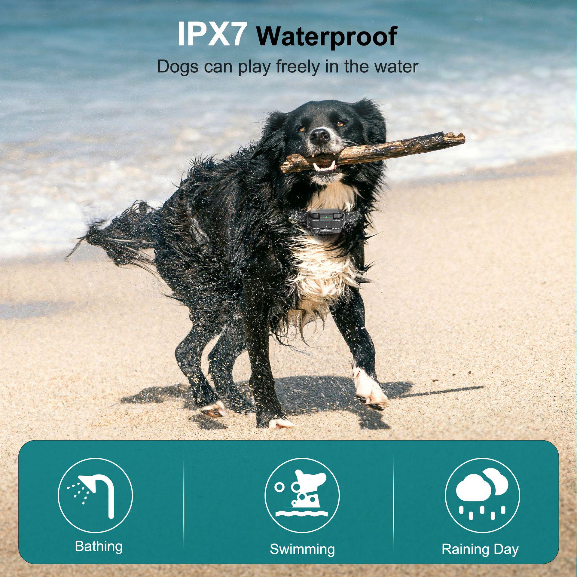 Ошейник для дрессировки собак PatPet 643 с пультом/водонепроницаемый - фото 7 Ошейник для дрессировки собак PatPet 643 с пультом/водонепроницаемый - фото 7