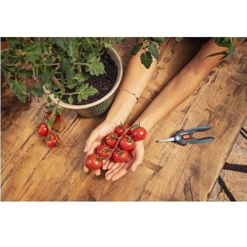 Ножиці для трави Gardena та квітів FreshCut - фото 7