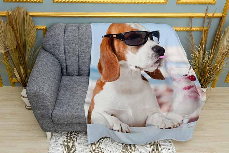 Плед Beagle with a milkshake плюш однослойный 150х210 см (113439-1)