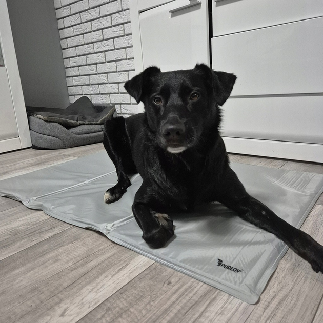 Коврик охлаждающий Purlov 25531 гелевый для домашних животных 90х50 см - фото 8