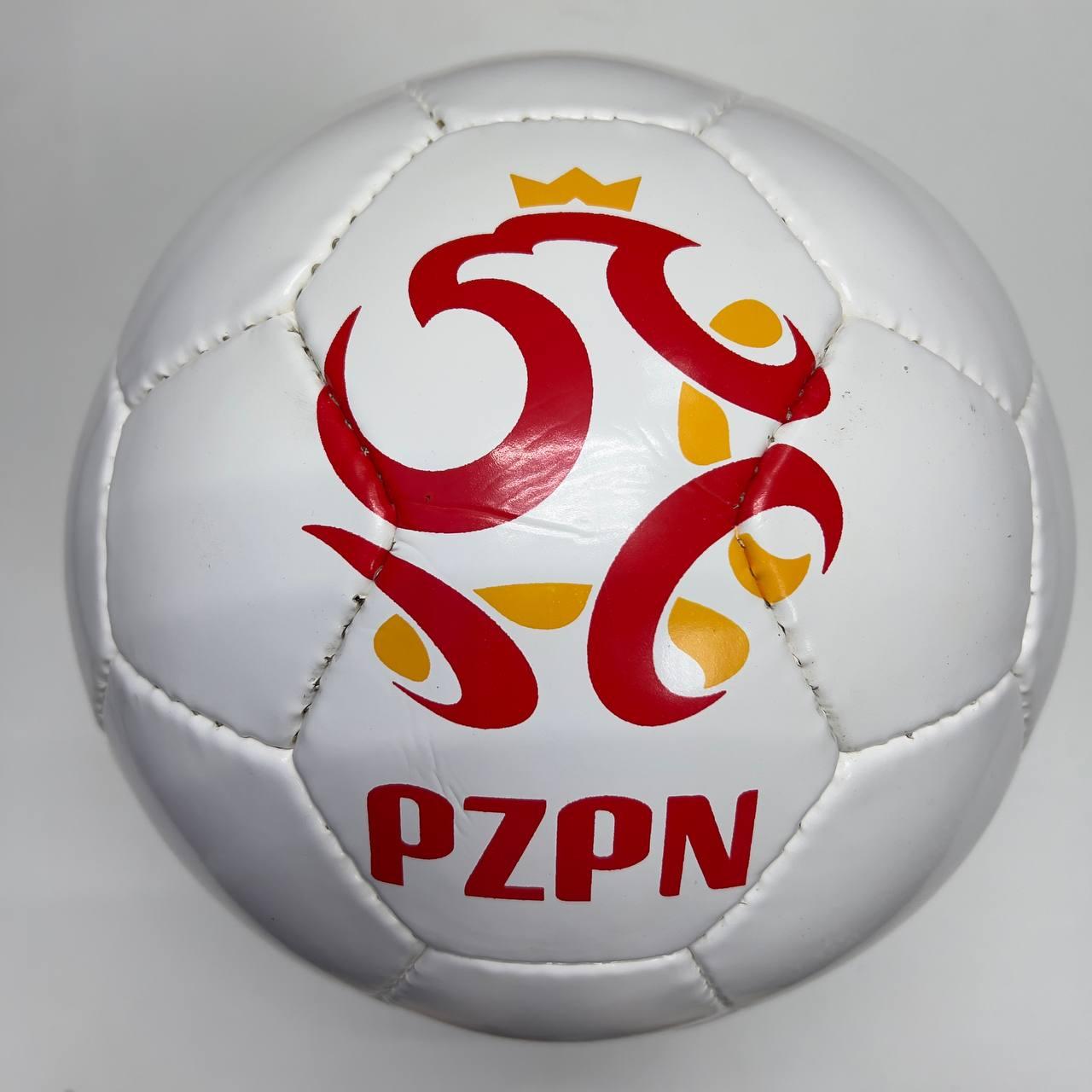 М'яч футбольний Practic PZPN Size 5 (11260469)