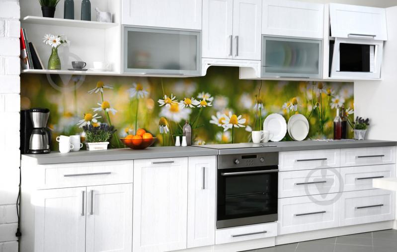 Скинали на кухню Zatarga «Ромашковые луга» 600х2500 мм виниловая 3Д наклейка кухонный фартук самоклеящаяся Скинали на кухню Zatarga «Ромашковые луга» 600х2500 мм виниловая 3Д наклейка кухонный фартук самоклеящаяся