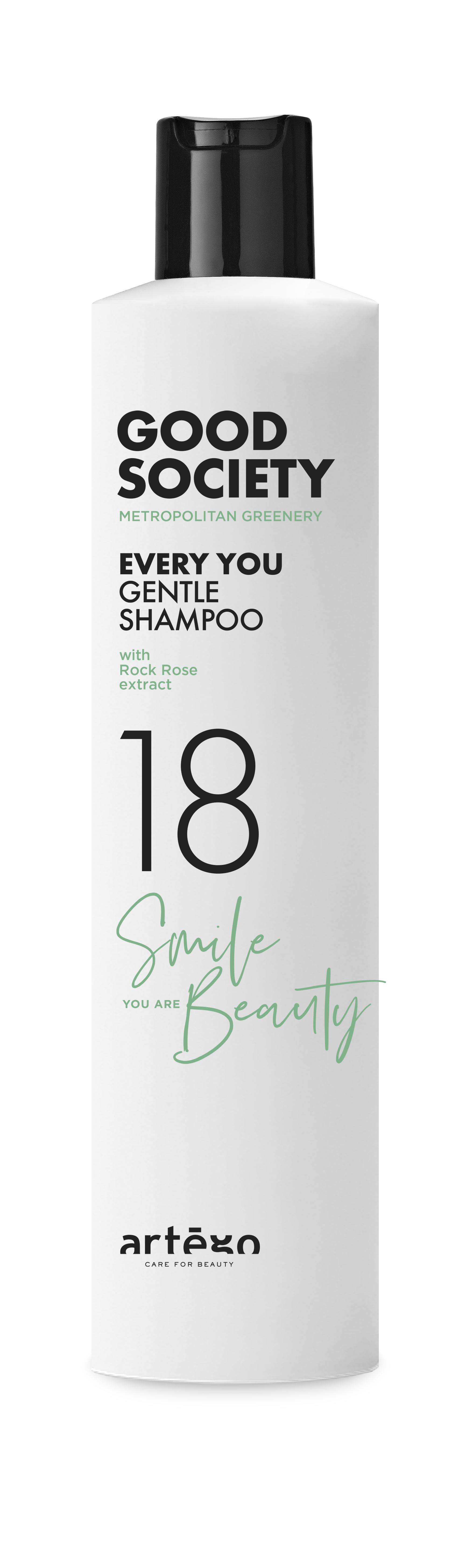 Шампунь для щоденного використання Artego Good Society 18 Every You Gentle Shampoo 250 мл (0165917)