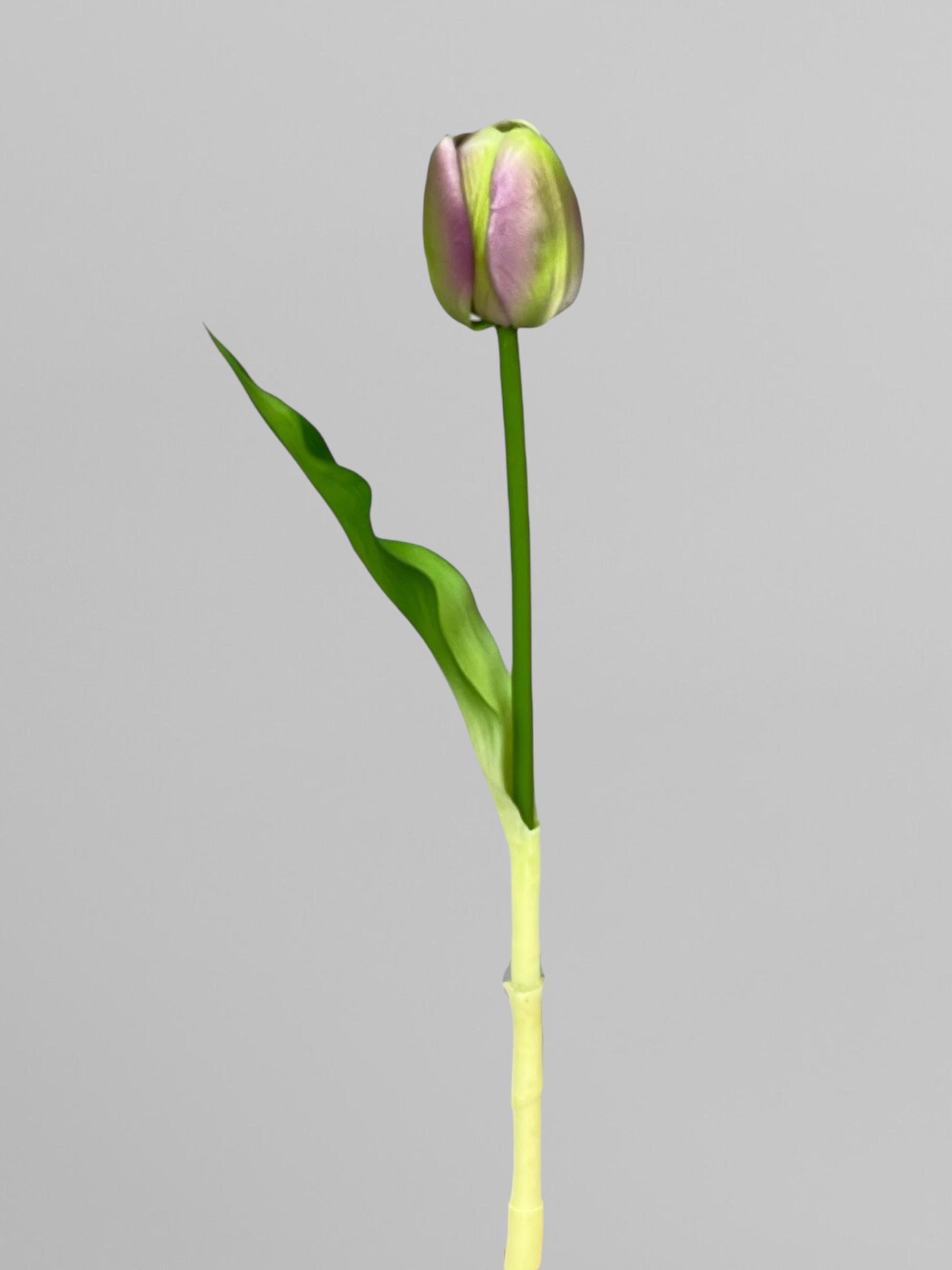 Искусственный тюльпан 32 см Зелено-фиолетовый (К07071)