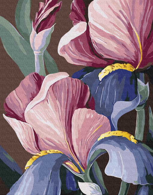 Картина по номерам Brushme Петушки 40х50 см (BS53760)