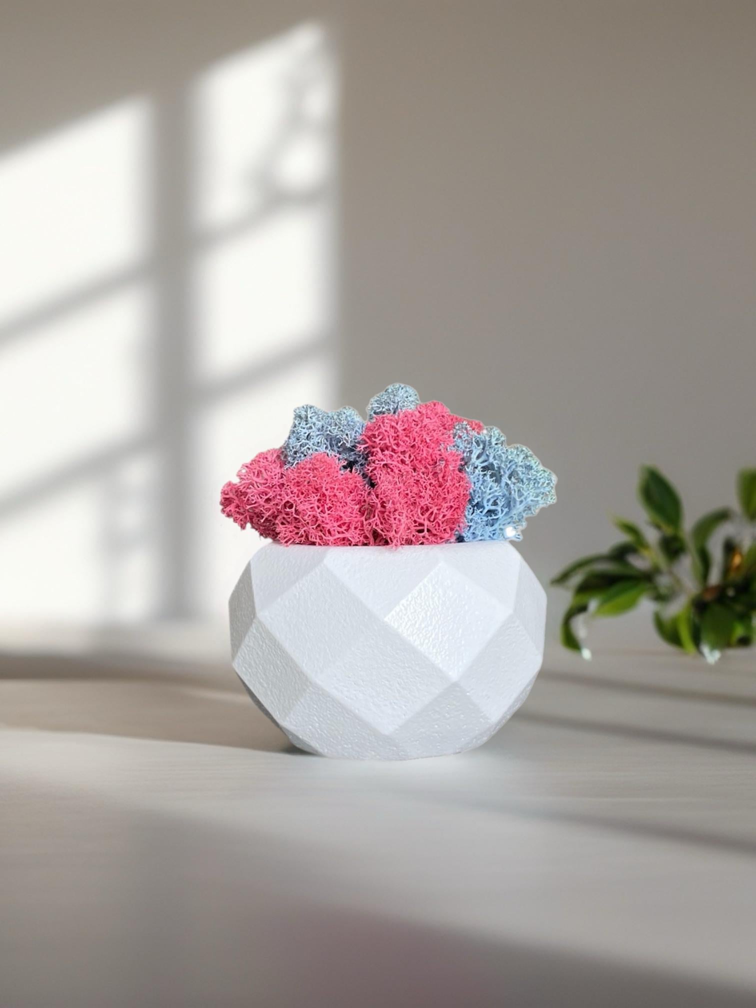 Кашпо с мхом гипсовое (32645142)