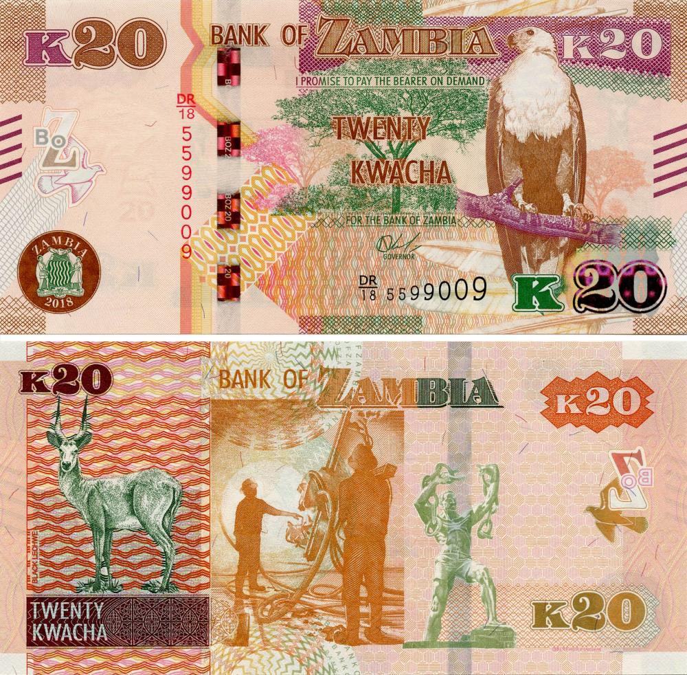 Коллекционная банкнота Замбия 20 квача 2018 Антилопа UNC Pnew (Б11097)