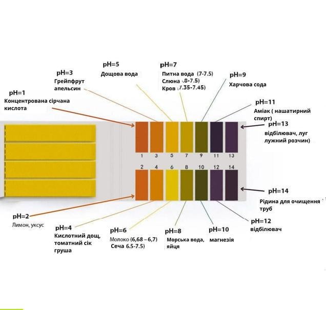 Лакмусовая бумага 80 полосок (30146094) - фото 3 Лакмусовая бумага 80 полосок (30146094) - фото 3