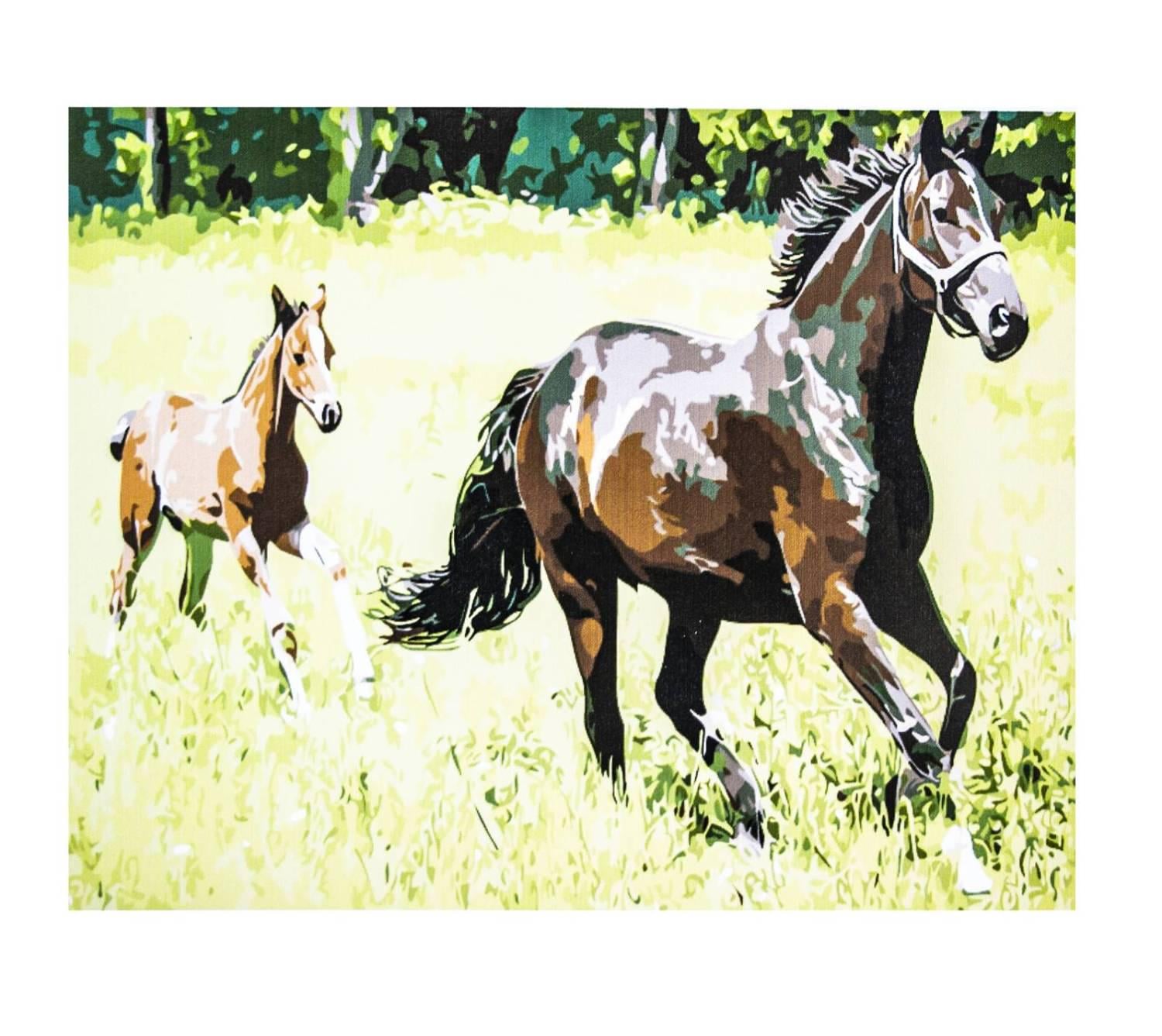 Картина по номерам Лошади с красками и кистями 60х75 см Multicolor (R012)