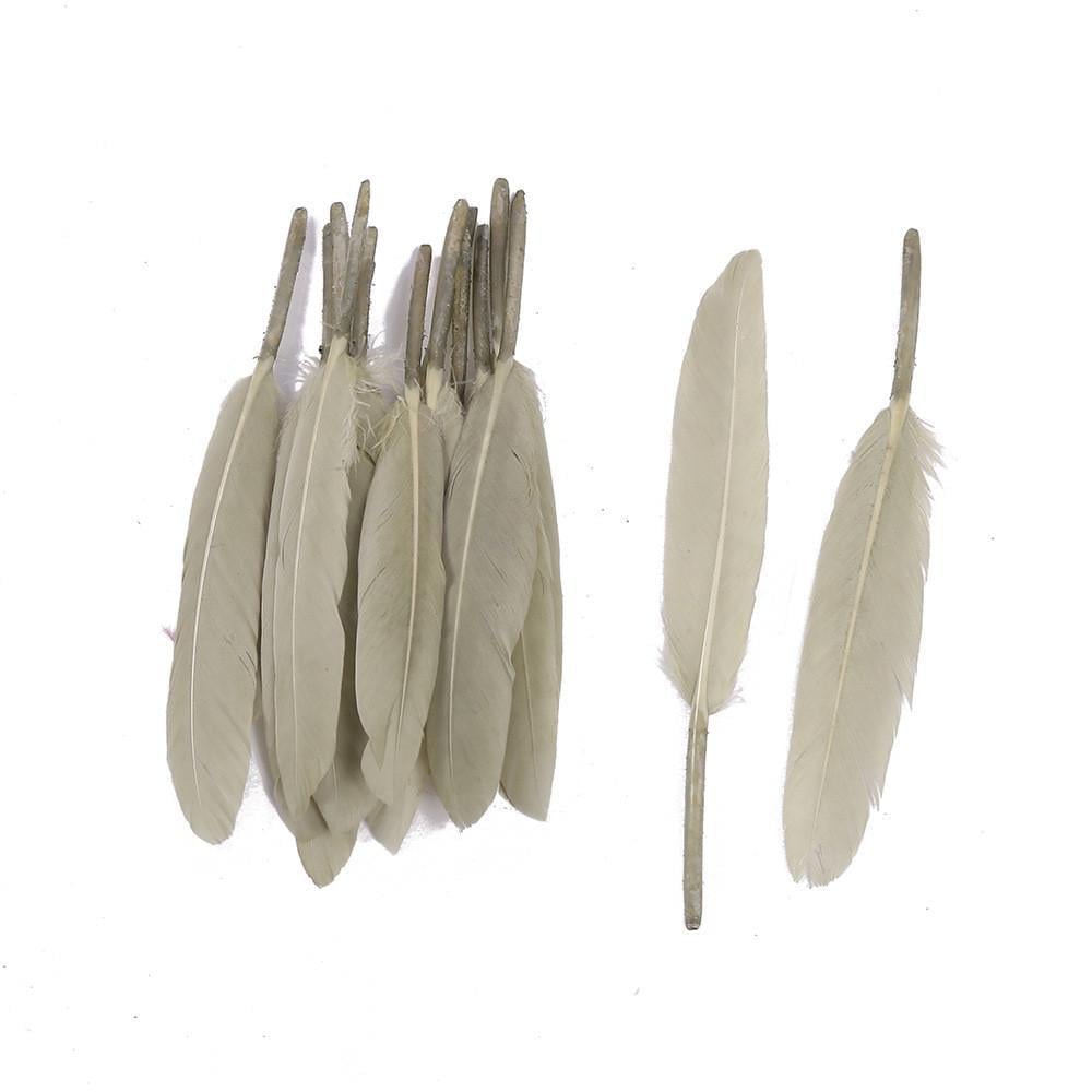 Пір'я курячі 10-15 см 25 шт. Бежевий (ПР1015к03)