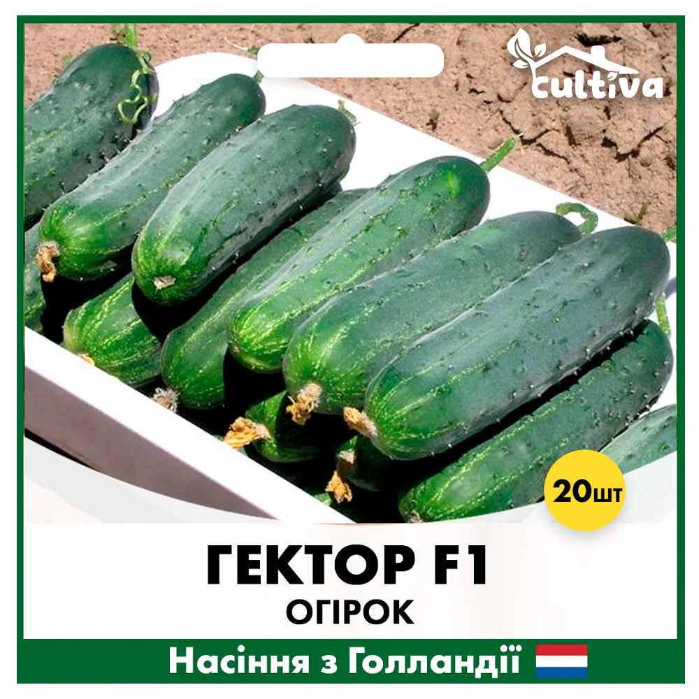 Семена огурца Nunhems Гектор F1 20 шт. (O6)