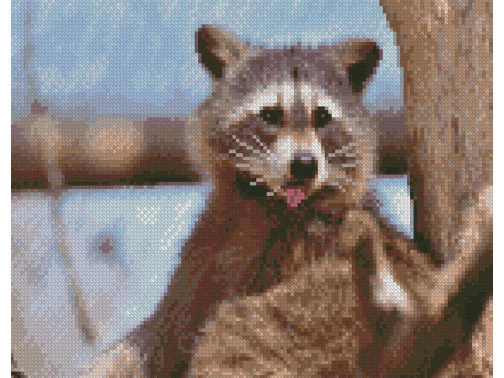 Набір для творчості алмазна картина Strateg Єнотик HX500 30x40 см (MTT-167675) Набір для творчості алмазна картина Strateg Єнотик HX500 30x40 см (MTT-167675)